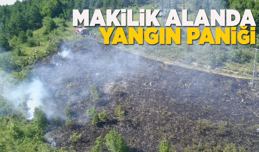 İlçede makilik alanda yangın çıktı