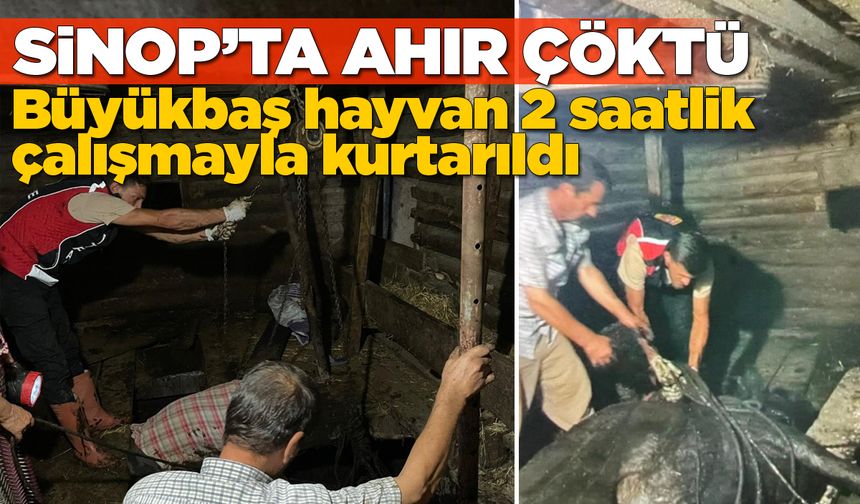 Sinop’ta ahır çöktü