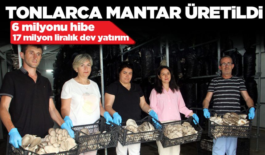 Sinop'ta kadın girişimciler el ele verdi