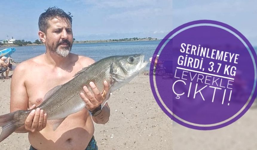 Serinlemeye girdi, çıplak elle 3.7 kiloluk levrek yakaladı!