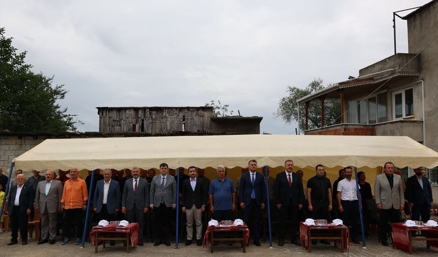 "Arsin Foşa fındığı" hasadı başladı