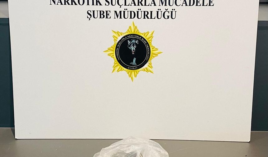 Samsun'da narkotik operasyonu: 2 gözaltı