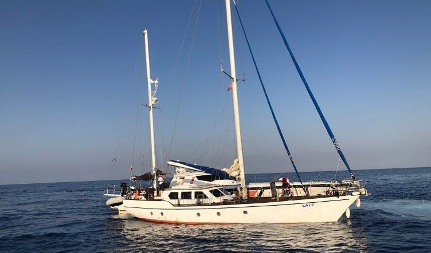 115 düzensiz göçmen yakalandı