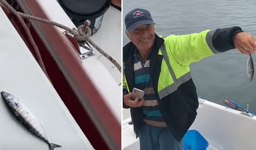 Öncü palamutlar balıkçıya umut oldu