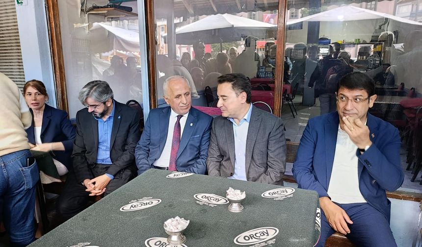 Ali Babacan'ın, Erfelek ziyareti