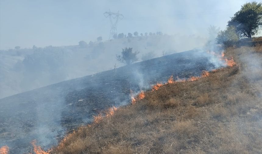 Makilik alanda çıkan yangın söndürüldü