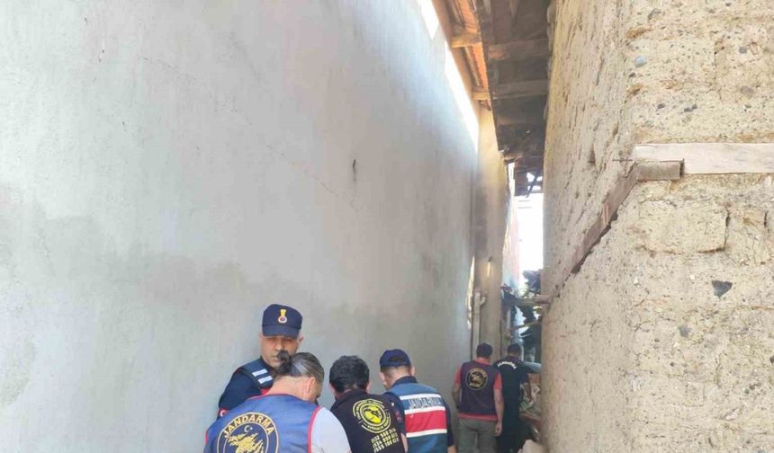 Babaannesini başına tüple vurarak öldürdü