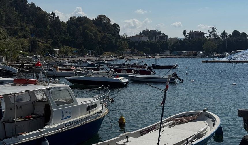 Karadeniz’de bu yıl hamsi beklentisi büyük