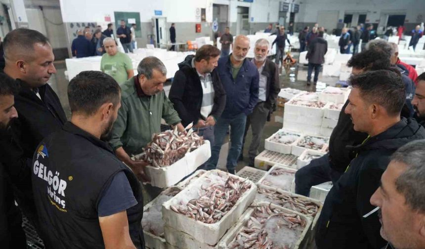 Kasalar dolusu balık mezat usulüyle satıldı