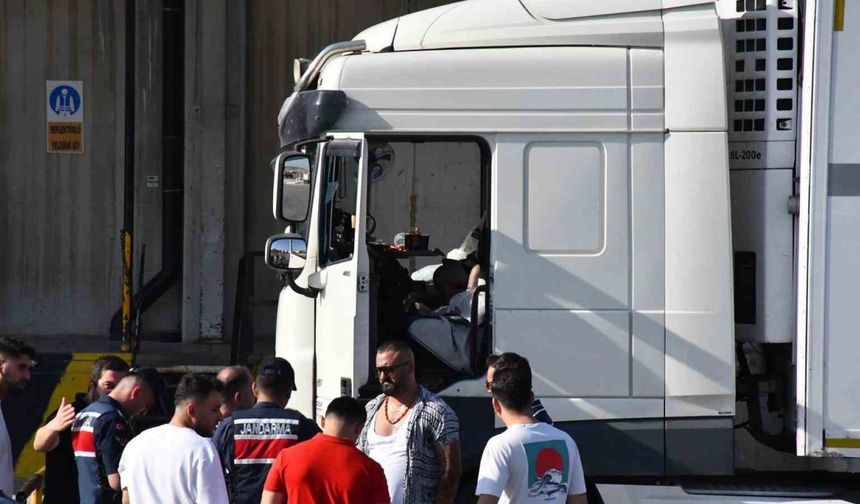 Tır sürücüsü araç içerisinde ölü bulundu