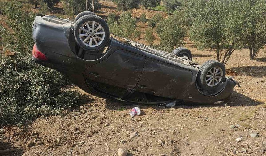 Zeytin bahçesine uçan otomobildeki 3 kişi yaralandı