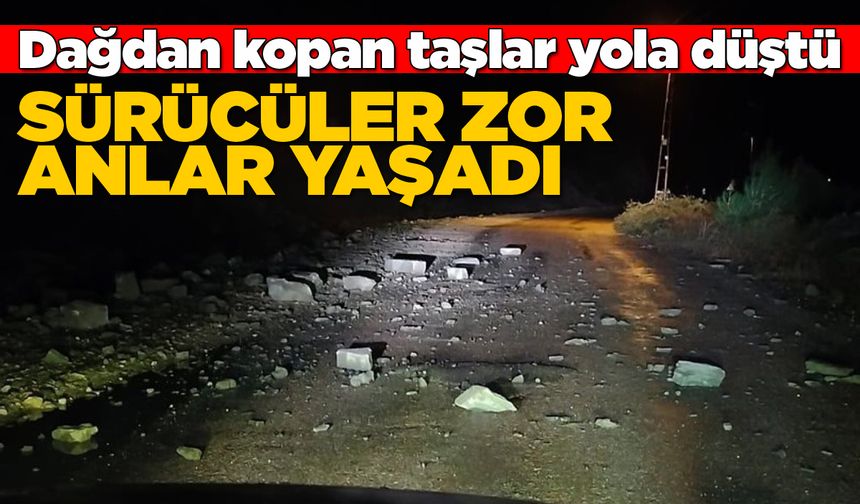Sinop’ta sağanak sonrası yola taş düştü
