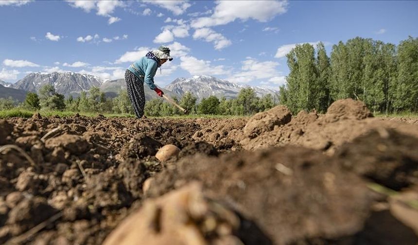 Çiftçilere 4,5 milyar liralık destekleme ödemesi başladı
