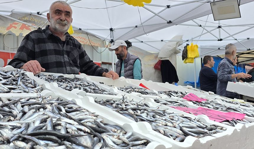 Zonguldak'ta hamsi bolluğu yaşanıyor