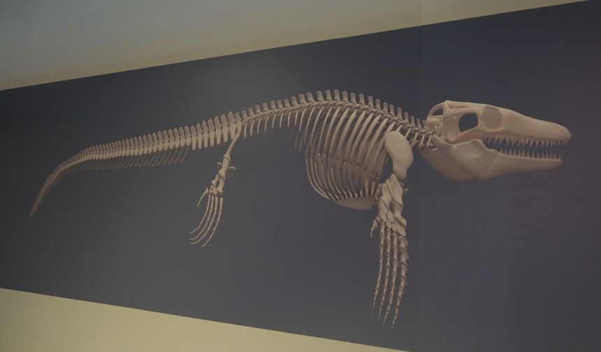 Denizlerin dinozoru hakkında konferans düzenlendi