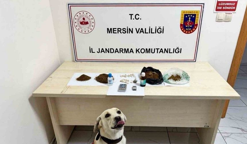 Narkotik operasyonunda 5 şüpheli tutuklandı
