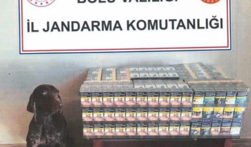 Yolcu otobüsünde kaçak sigara ele geçirildi