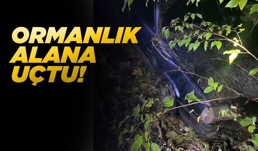 Yoldan çıkan araç ormanlık alana uçtu
