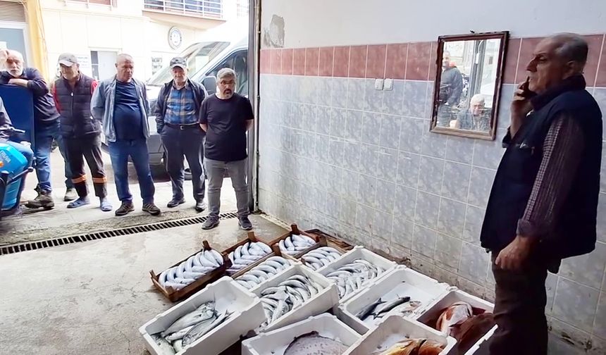 Mezat kültürü, balıkçılık kenti Sinop'ta yaşatılıyor