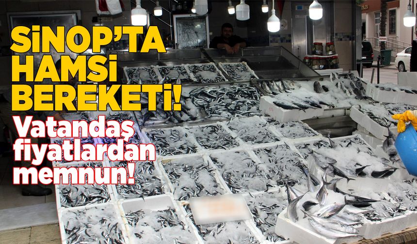 Sinop'ta balıkçı tezgahlarında hamsi bolluğu yaşanıyor