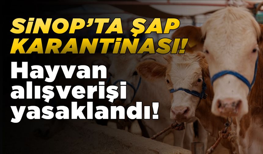 Sinop’ta bazı köyler şap nedeniyle karantinaya alındı