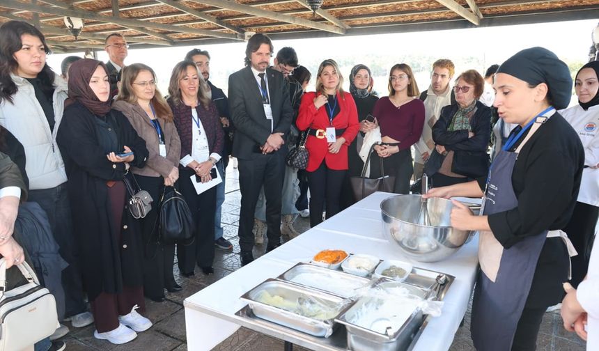 Sinop'un turizm potansiyeline akademik inceleme