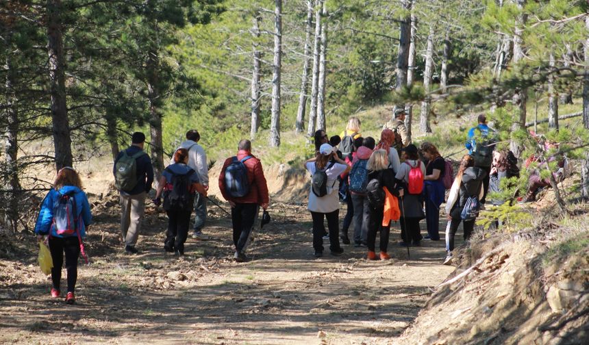 Sinop Orman Spor Dağcılık Kulübü’nden doğa yürüyüşü