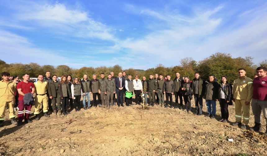 Sinop'ta 3 bin 860 fidan toprakla buluşturuldu