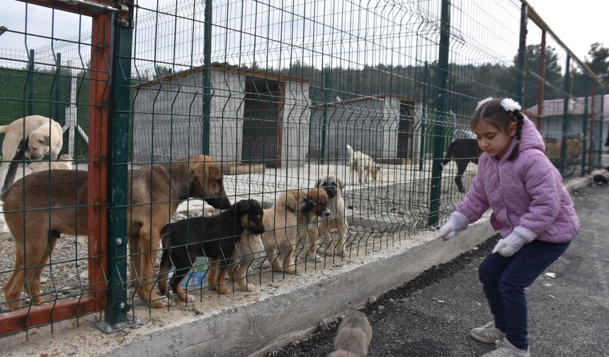 Hayvanseverler can dostlarını ziyaret etti