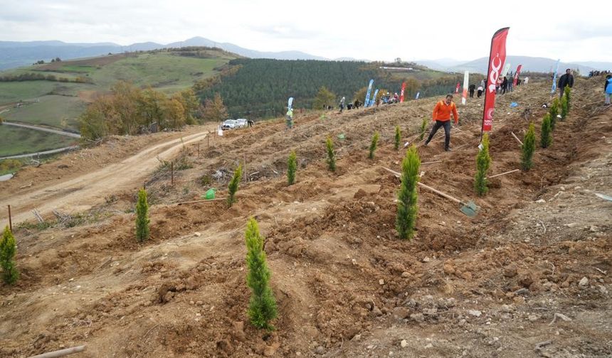 37 bin 380 fidan toprakla buluşacak