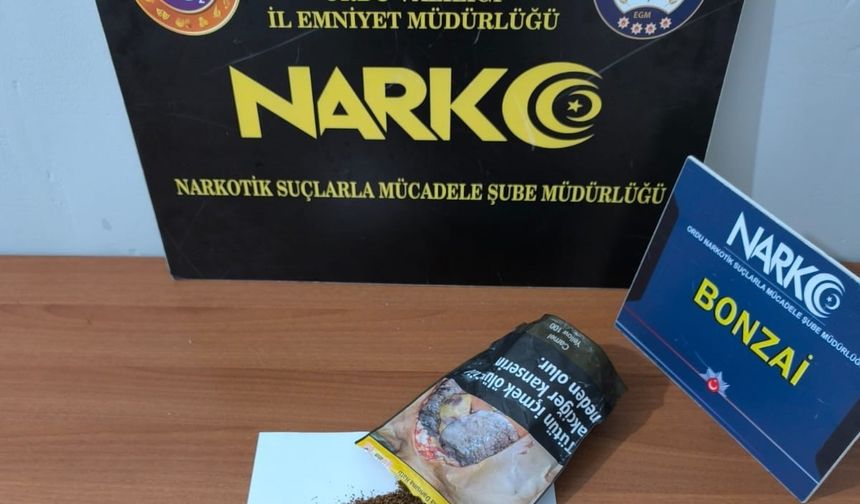 Narkotik operasyonlarında 5 tutuklama