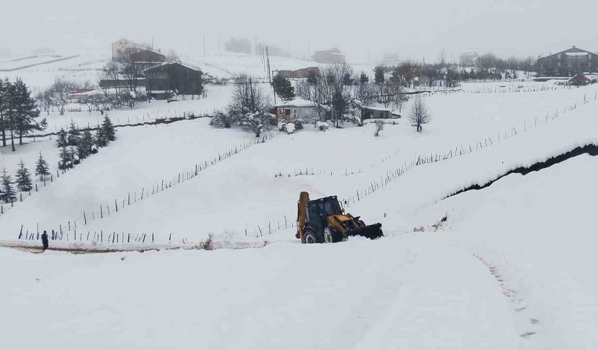 Ordu’da karla mücadele çalışmaları başladı