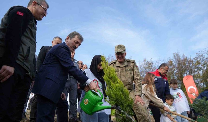 Samsun’da 37 bin 380 adet fidan toprakla buluştu