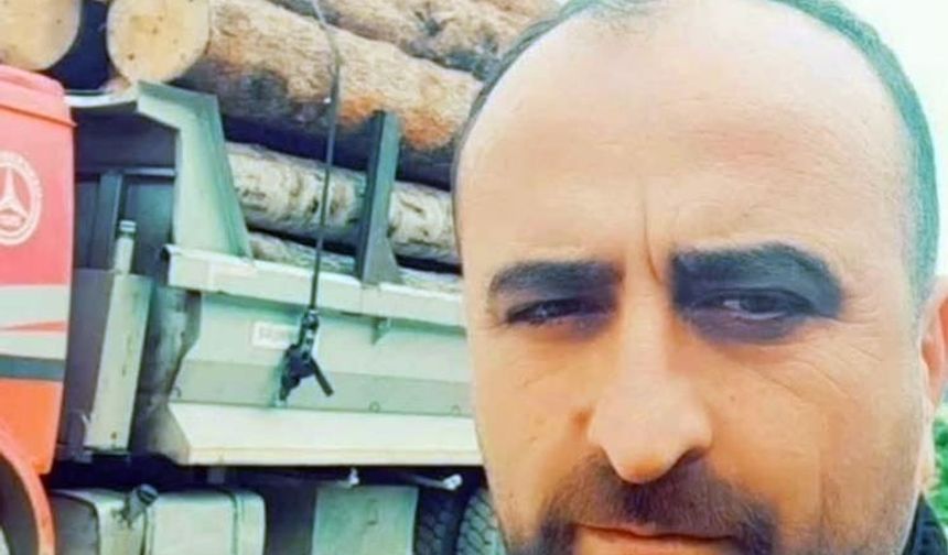 Üzerine ağaç devrilen kişi hayatını kaybetti