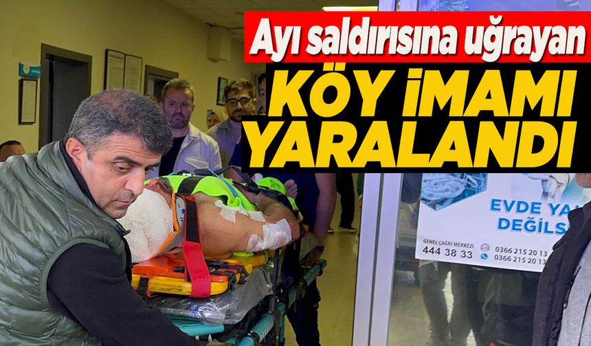 Mantar toplarken ayı saldırısına uğradı!