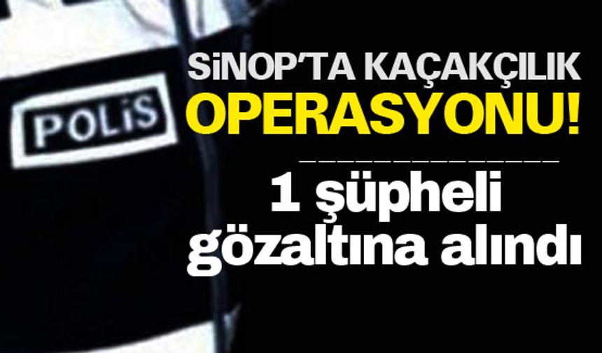 Sinop'ta 51 bin boş makaron ele geçirildi