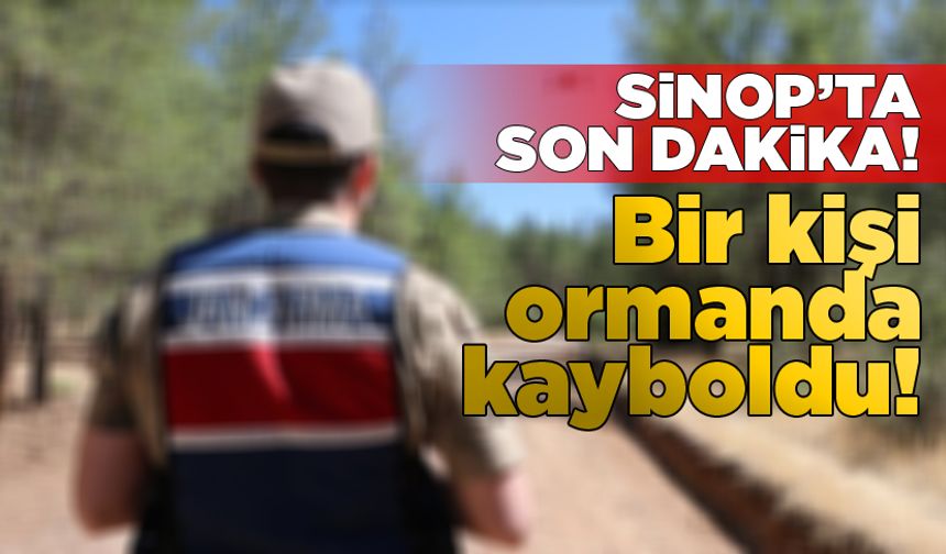 Sinop’ta bir kişi ormanda kayboldu