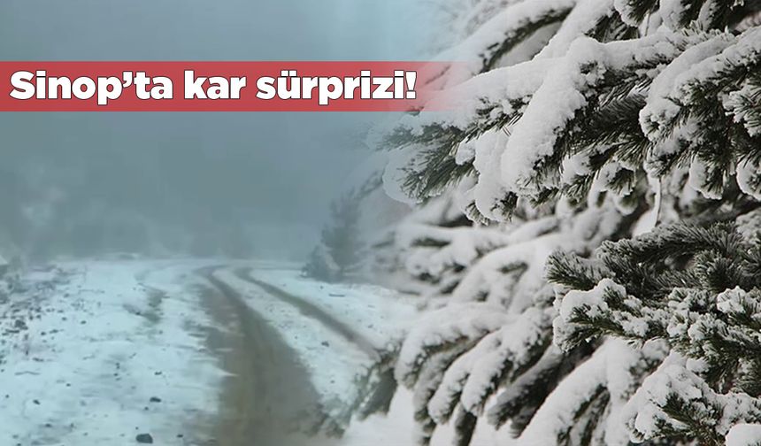 Yüksek rakımlı yaylada kar yağışı etkili oldu