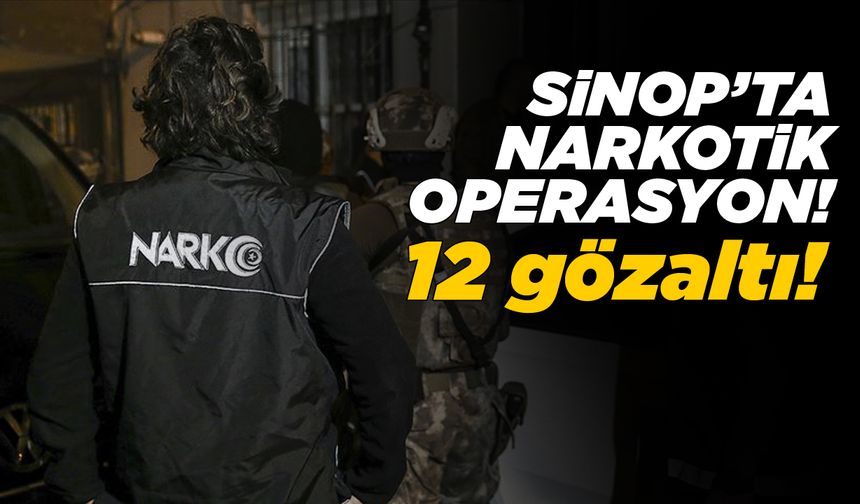 Büyük narkotik operasyonu: 12 gözaltı