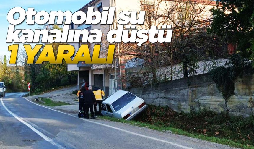 Yoldan çıkan otomobil su kanalına düştü