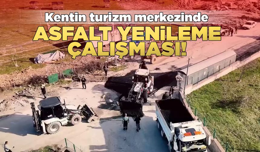 Sinop'un turizm merkezinde asfalt yenileniyor