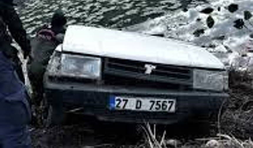 Gölete düşen otomobilin sürücüsü öldü
