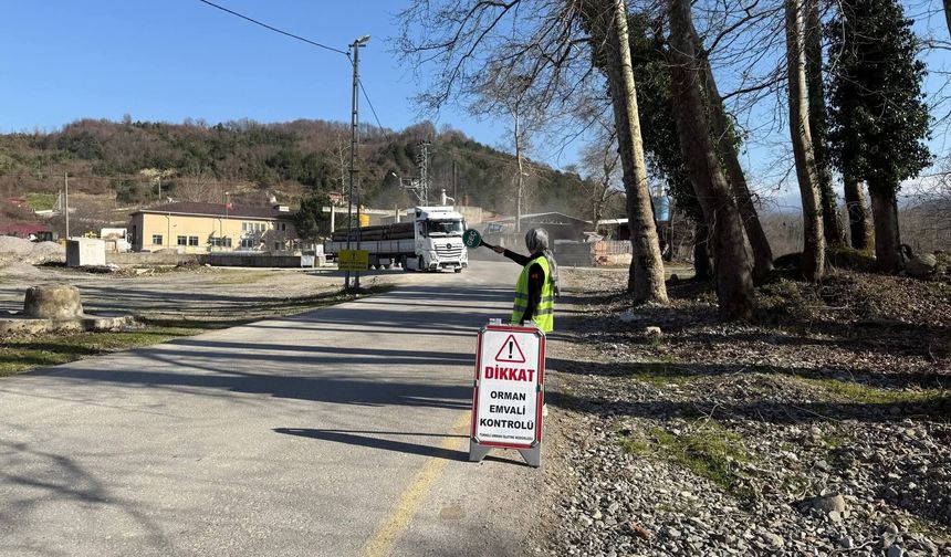 Türkeli'de orman emvali taşıyan araçlara denetim