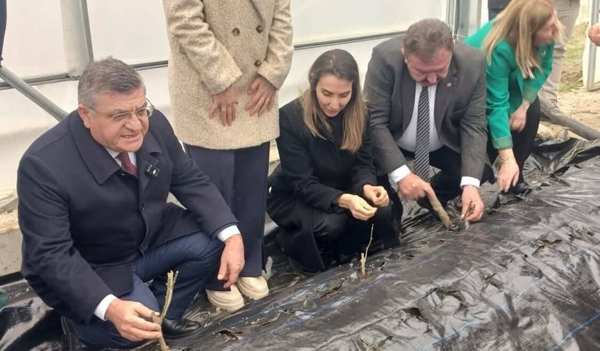 İlçede "Serada Süs Bitkisi Yetiştiriciliği" hayata geçti