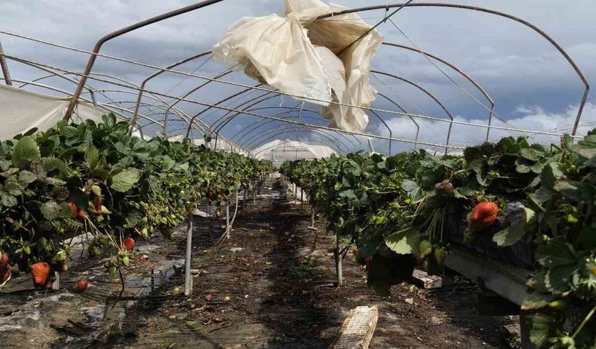 Hortum seraları yerle bir etti