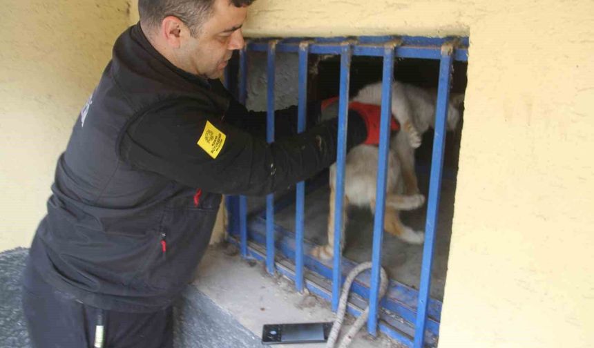 Açlıktan bitkin düşen kedi kurtarıldı