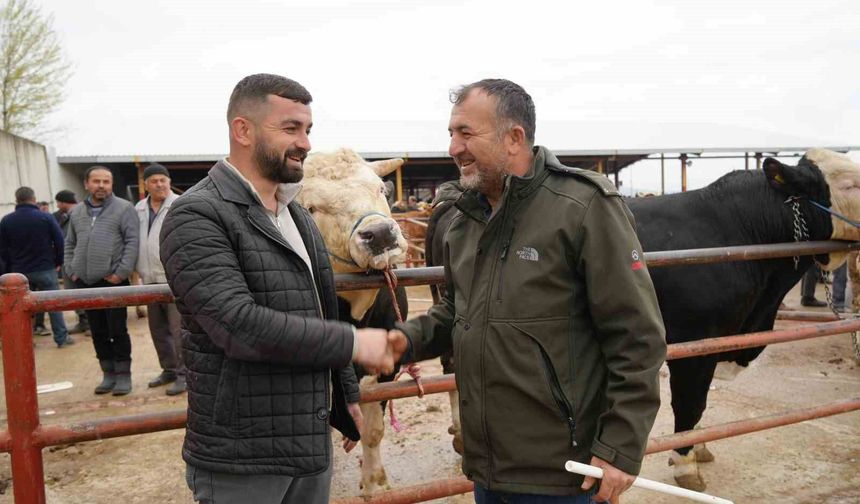 Kastamonu'da Kurban Bayramı hareketliliği