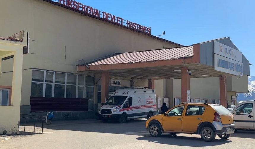 Yüksekova'da patlama: 1 çoban yaralı, 3 koyun telef oldu