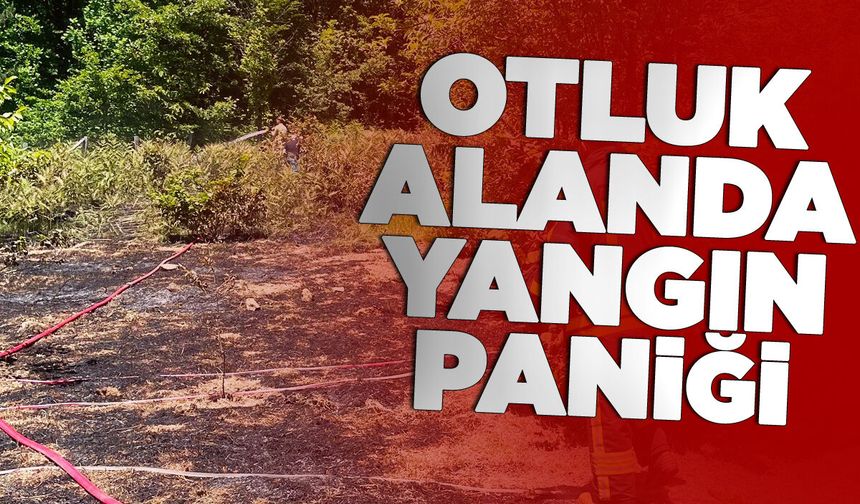 Otluk alanda örtü yangını!