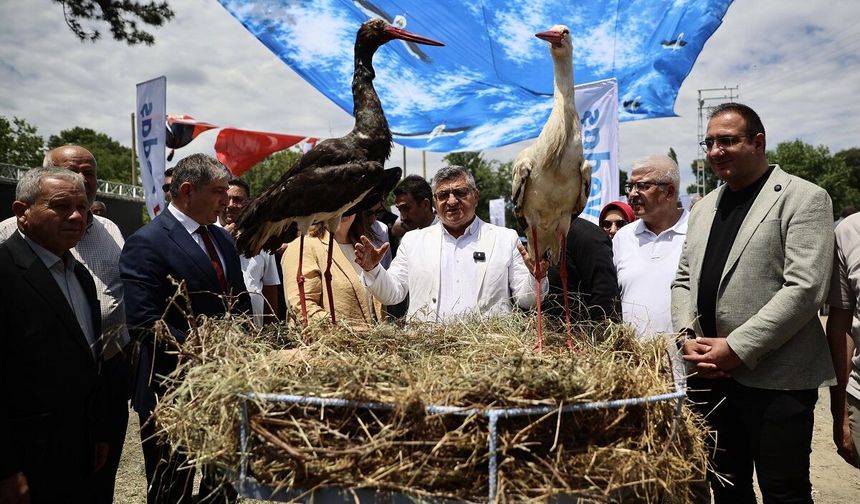 Sinop Cuma Ovası'nda Leylek Şenliği düzenlendi